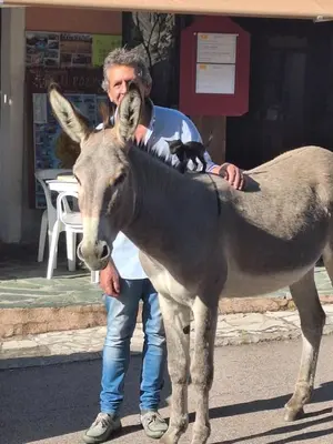 a man standing next to a donkey in the street at U pozzu hôtel in Evisa