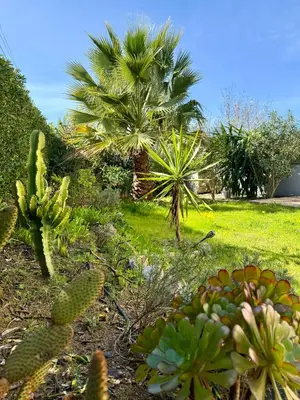 a garden with cacti and palm trees and grass at Rare grand appartement standing terrasse et jardin - Porticcio proche mer in Porticcio