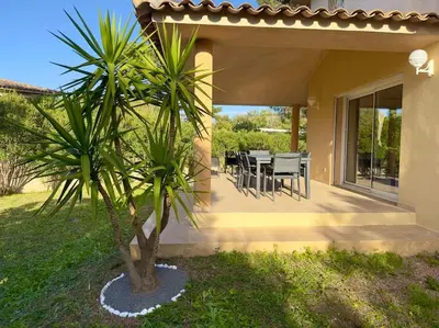 a house with a palm tree on a patio at 72 m2 Centre-ville avec jardin in Porto-Vecchio