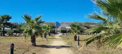 a path through a field with palm trees at Corse Villa bord de mer in Cervione