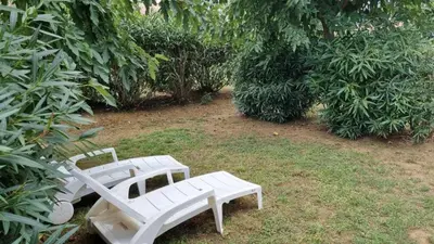 two white benches sitting in the grass near trees at Corse Villa bord de mer in Cervione