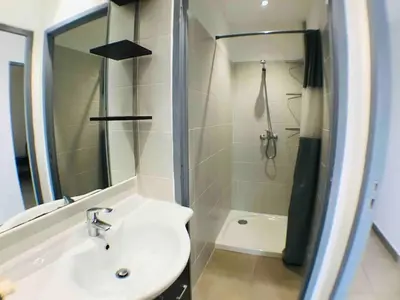 a bathroom with a sink and a shower at Casa Bartoli, T2 Entre Mer et Montagne in Isolaccio-di-Fiumorbo