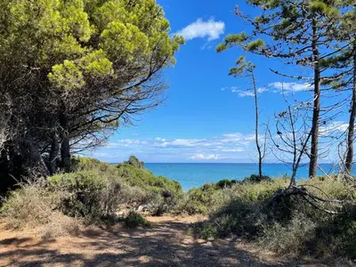 a dirt road with trees and the ocean in the background at marina di bravone 185 vue mer in Linguizzetta