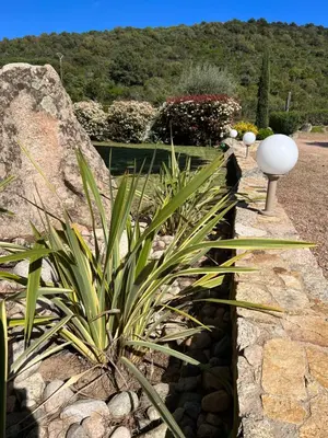 a garden with a plant and a stone path at Hotel les jardins Sta Giulia avec piscine in Porto-Vecchio