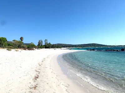 a sandy beach with the ocean in the background at auxcheneslieges in Lecci
