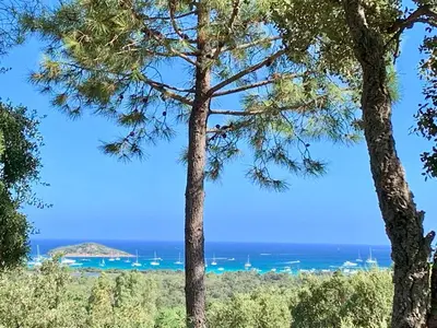 a view of the ocean from a hill with trees at auxcheneslieges in Lecci