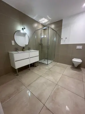 a bathroom with a shower and a sink and a toilet at Bergerie avec spa vue montagne in San-Nicolao
