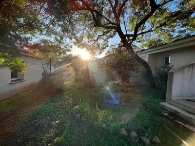 a tree in front of a house with the setting sun at Mini Villa 63 proche plage dans résidence avec piscine à Favone in Sari Solenzara