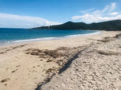 a beach with a pile of seaweed on the sand at Mini Villa 63 proche plage dans résidence avec piscine à Favone in Sari Solenzara