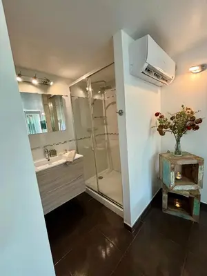 a bathroom with a shower and a sink at La vie en rose in Coti-Chiavari