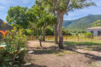 a group of trees in a yard with a fence at Casa Omigna in Figari