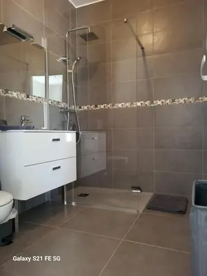 a bathroom with a shower and a sink and a toilet at T2 bord de mer in Albitreccia
