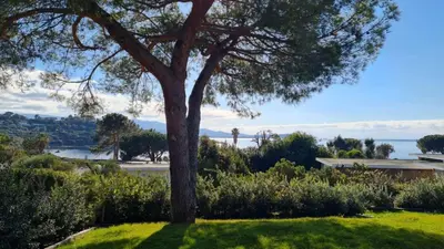 a tree in a yard with a view of the water at Proche porticcio, Coup de cœur asuré,Appartement de standing, rez de villa 6 couchages, climatisé à 150m de la plage, terrains de tennis in Grosseto-Prugna