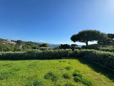 a field of grass with a tree in the background at Proche porticcio, Coup de cœur asuré,Appartement de standing, rez de villa 6 couchages, climatisé à 150m de la plage, terrains de tennis in Grosseto-Prugna