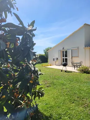 an orange tree in front of a building at Maison jumelée clôturée in Linguizzetta