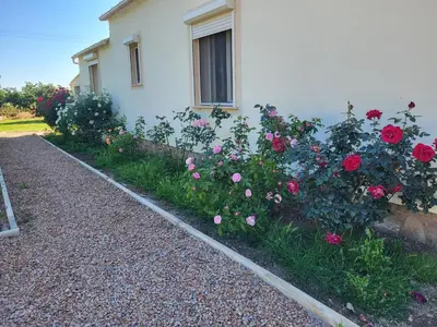 a garden of roses in front of a house at Maison jumelée clôturée in Linguizzetta