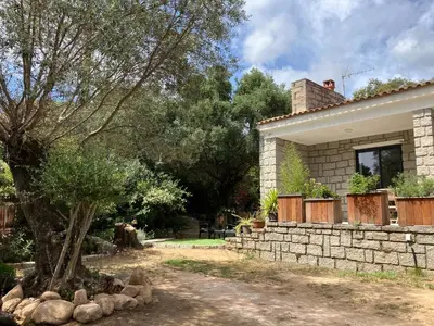 a house with a stone wall and a tree at Villa luxury vue mer à 300m du centre ville terrasse,jardin,parking privé in Porto-Vecchio