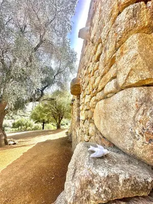 a bird sitting on a rock next to a stone wall at La Casa D'Ange Bergerie 5 étoiles de Luxe Piscine chauffée in Lama