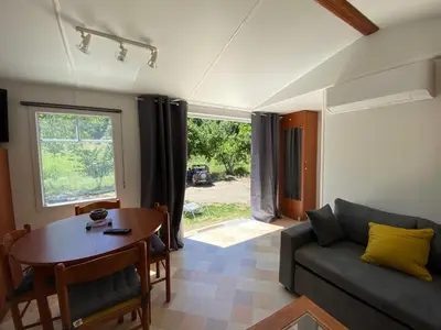a living room with a couch and a table at Mobil Home in Tralonca