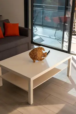a leopard toy on a coffee table in a living room at Casa Emma in Sollacaro