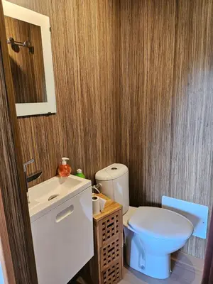 a bathroom with a toilet and a sink at Ferme Auberge U Cantu d'Adelio in Olivese