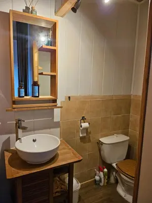 a bathroom with a sink and a toilet at Ferme Auberge U Cantu d'Adelio in Olivese