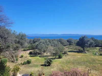 a field with trees and the ocean in the background at Maison accès direct plage corse du sud in Coti-Chiavari