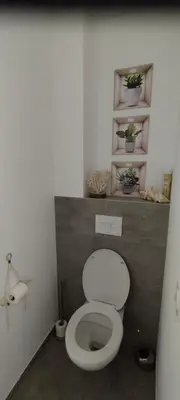 a bathroom with a toilet with plants on a shelf at Appartement Lelia in Sotta