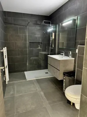 a bathroom with a shower and a sink and a toilet at Logement calme et agréable in Borgo