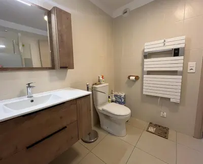 a bathroom with a toilet and a sink and a mirror at MORIANI Plage T2 terrasse proche mer et commerces in Moriani Plage