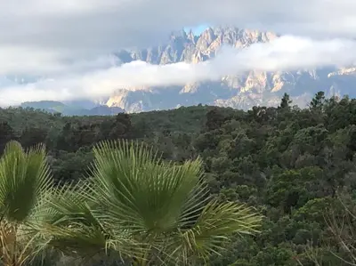 a view of a mountain range with palm trees and clouds at Rez de villa Machja vue mer et montagne à 2mn port in Sari Solenzara