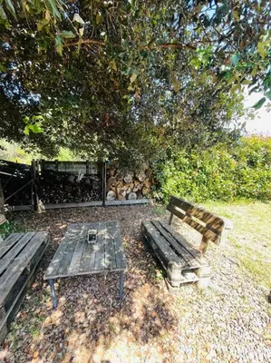 two wooden benches and a picnic table under a tree at Charmante Villa avec Piscine in Appietto