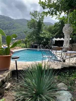 a swimming pool with chairs and a table and a plant at À casa nostra in Santo-Pietro-di-Tenda