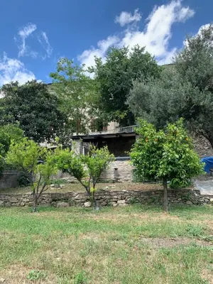 a house with a stone wall and two trees at À casa nostra in Santo-Pietro-di-Tenda