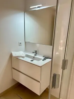 a bathroom with a sink and a mirror at Appartement Vue Mer in Sari Solenzara