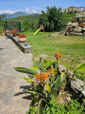 a garden with plants and flowers in a field at A Casa Di a Vita in Rapale