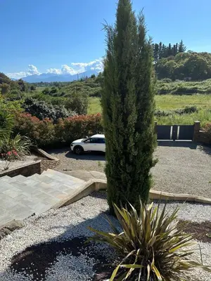 a car parked in a parking lot next to a pine tree at Maison de vacances in Aléria