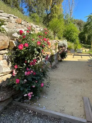 a stone wall with pink flowers and a bench at Maison de vacances in Aléria