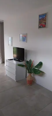a plant in a vase sitting in a room at Magnifique appartement entre mer et montagne in Tiuccia