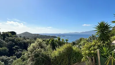 a view of the ocean from a hill with trees at Villa familiale superbe vue mer et couchers de soleil in Pietrosella