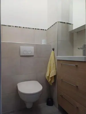 a bathroom with a toilet and a sink at Maison à 15 minutes de Propriano in Santa-Maria-Figaniella