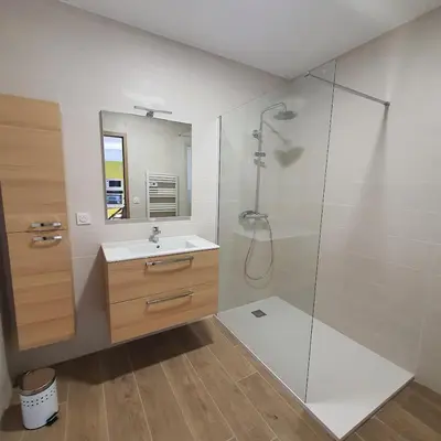 a bathroom with a shower and a sink and a mirror at appartement Oliviaaxelle in Venzolasca