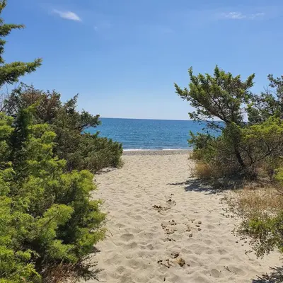 a beach with trees and the ocean in the background at appartement Oliviaaxelle in Venzolasca