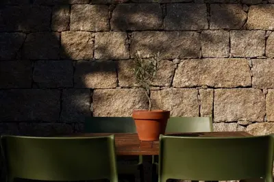 a table with green chairs and a potted plant on it at Villa A Grana in Zonza