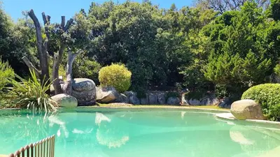 a large pool of water in a garden at Villa Capicciola, 8 pers, piscine, 30 m plage in Cirendinu