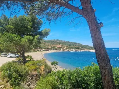 a view of a beach from a hill with trees at Casa Solana - Piscine privée in Galeria