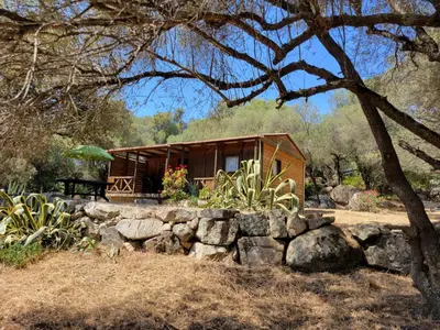 a small wooden house with a stone wall at Chalet Cosy - U Nestru in Olmeto