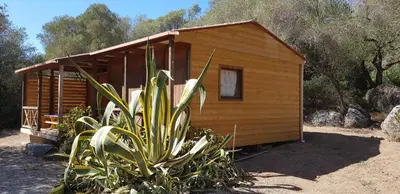 a small wooden cabin with a plant in front of it at Chalet Cosy - U Nestru in Olmeto