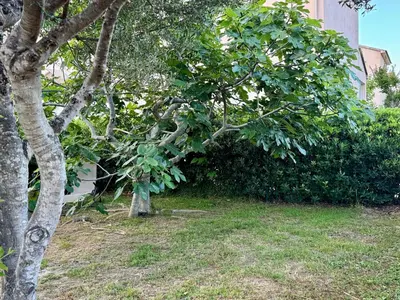a tree in a yard next to a building at Evasion de rêve à Casa Nina in Borgo