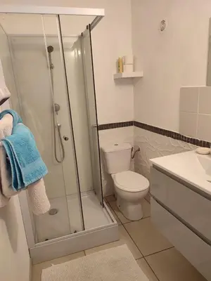 a bathroom with a shower and a toilet and a sink at Rose Corse in Santa-Maria-Figaniella